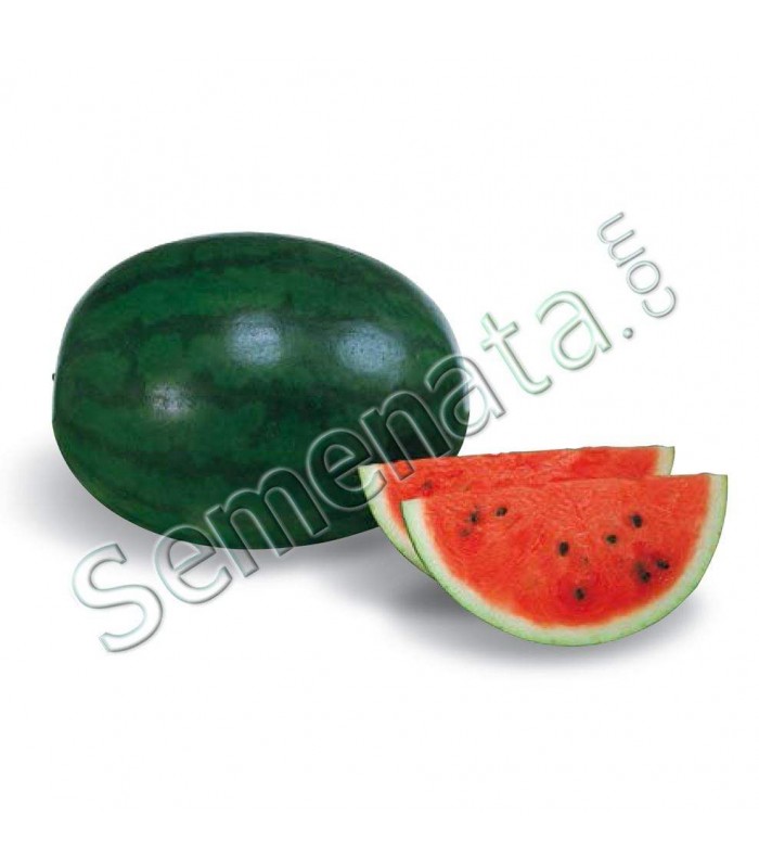 Шугър Деликата (Sugar Delicata F1)